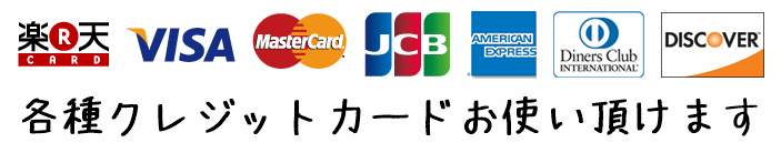 各種クレジットカードご利用ご利用頂けます 各種クレジットカードご利用いただけます